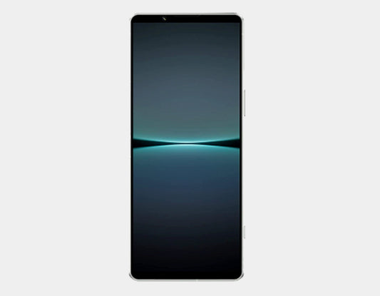 Sony Xperia 1 V 5G XQ-DQ72 Dual SIM 512GB ROM 12GB RAM GSM Unlocked – Silver