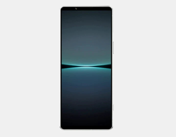 Sony Xperia 1 V 5G XQ-DQ72 Dual SIM 256GB ROM 12GB RAM GSM Unlocked – Silver