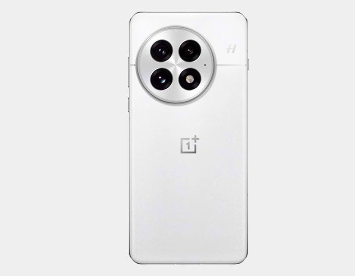 OnePlus 13 5G PJZ110 Dual SIM 256GB 12GB RAM GSM Unlocked - Arctic Dawn