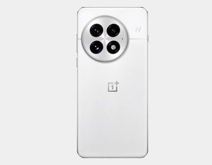 OnePlus 13 5G PJZ110 Dual SIM 256GB 12GB RAM GSM Unlocked - Arctic Dawn